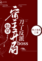 快穿宿主开局刀了反派BOSS